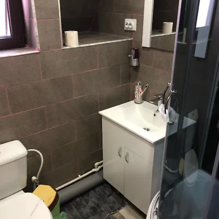 Serban Arenele Romane Marius Nasta * Bukareszt