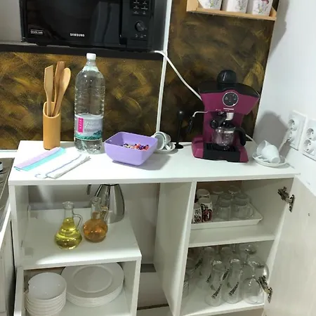 Apartament Serban Arenele Romane Marius Nasta *