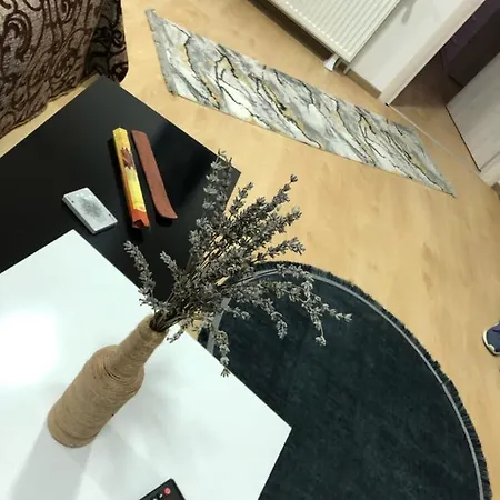 Serban Arenele Romane Marius Nasta