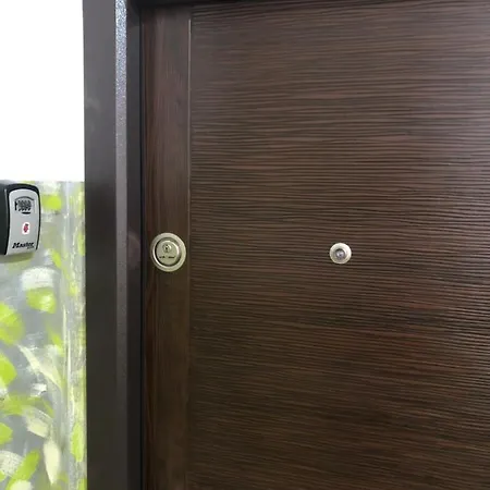 Daire Serban Arenele Romane Marius Nasta