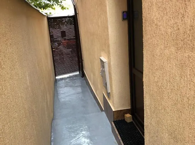 Serban Arenele Romane Marius Nasta 布加勒斯特