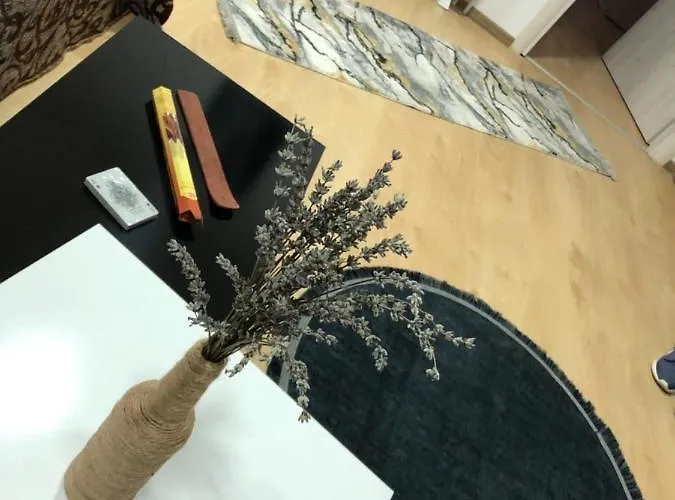 Serban Arenele Romane Marius Nasta