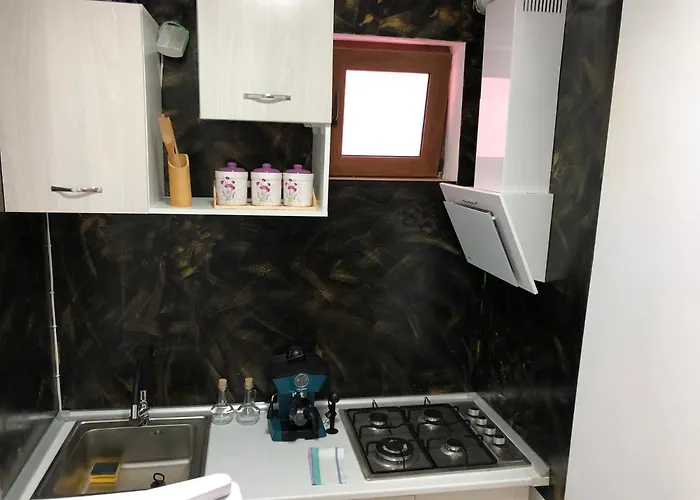 Serban Arenele Romane Marius Nasta *